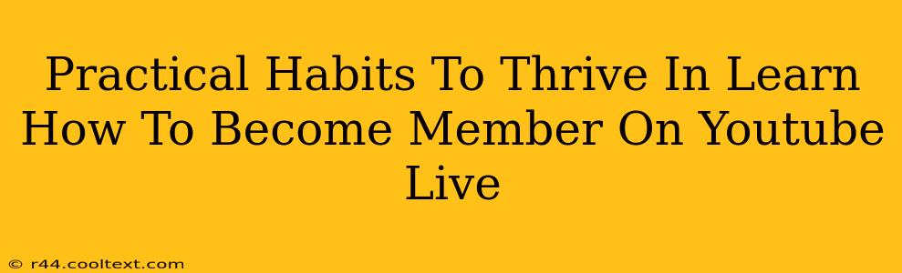 Practical Habits To Thrive In Learn How To Become Member On Youtube Live