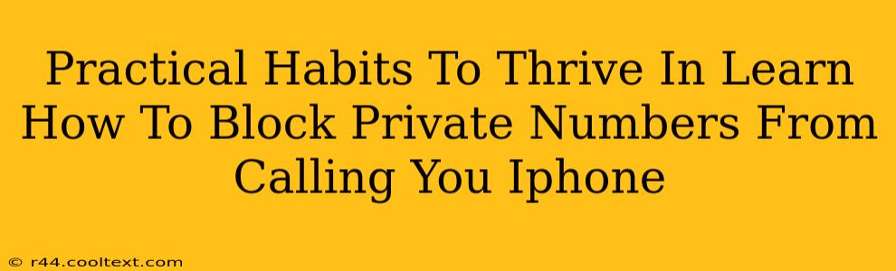 Practical Habits To Thrive In Learn How To Block Private Numbers From Calling You Iphone