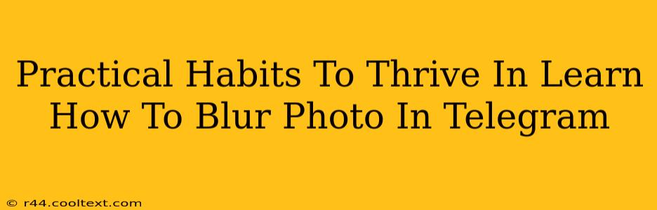 Practical Habits To Thrive In Learn How To Blur Photo In Telegram