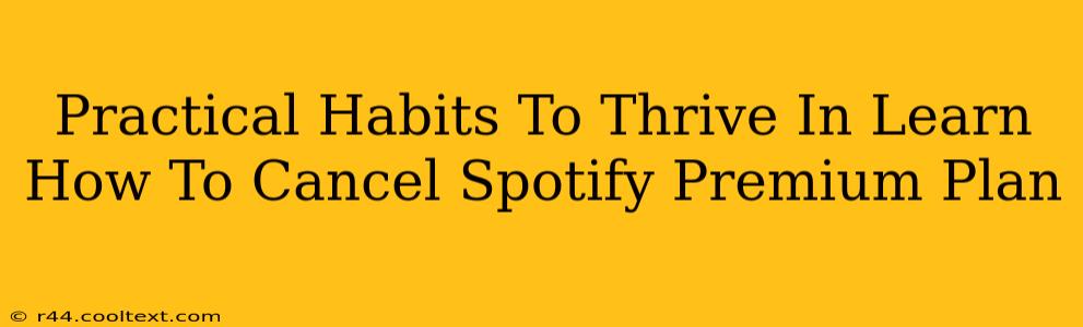 Practical Habits To Thrive In Learn How To Cancel Spotify Premium Plan