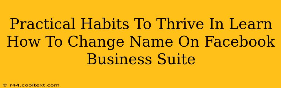 Practical Habits To Thrive In Learn How To Change Name On Facebook Business Suite