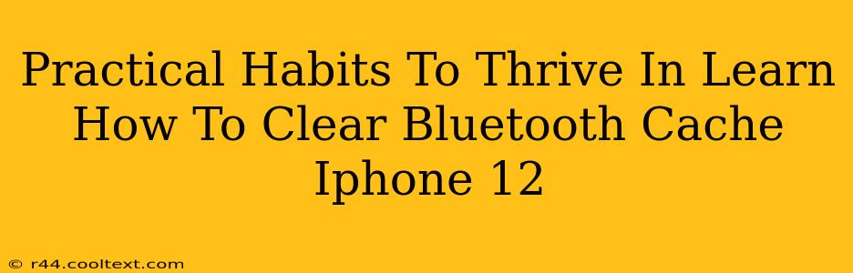 Practical Habits To Thrive In Learn How To Clear Bluetooth Cache Iphone 12