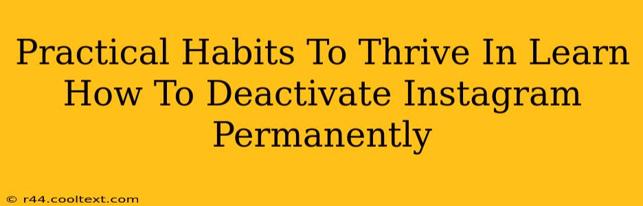 Practical Habits To Thrive In Learn How To Deactivate Instagram Permanently