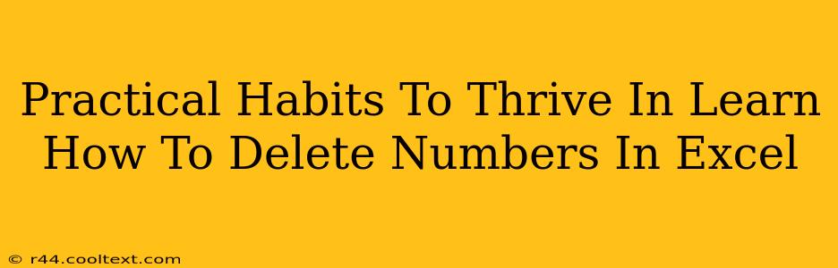 Practical Habits To Thrive In Learn How To Delete Numbers In Excel