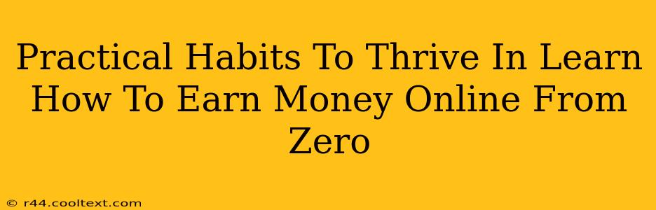 Practical Habits To Thrive In Learn How To Earn Money Online From Zero