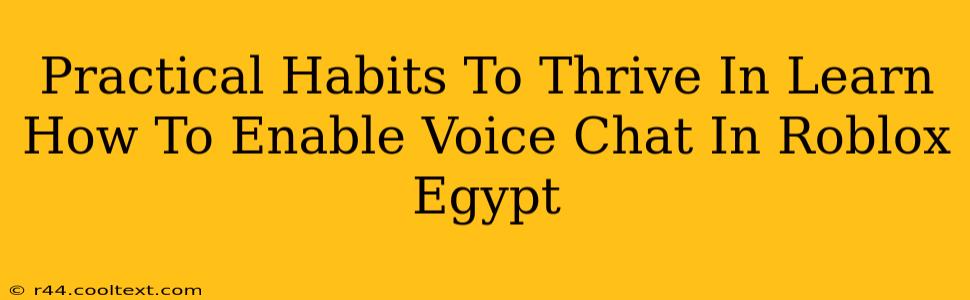 Practical Habits To Thrive In Learn How To Enable Voice Chat In Roblox Egypt