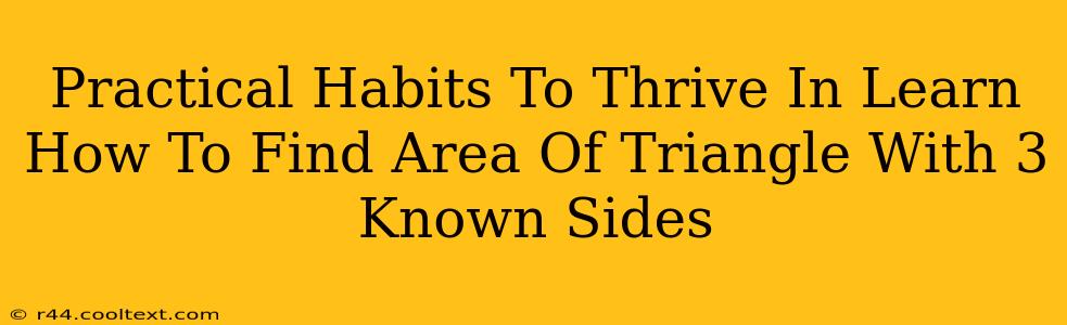 Practical Habits To Thrive In Learn How To Find Area Of Triangle With 3 Known Sides