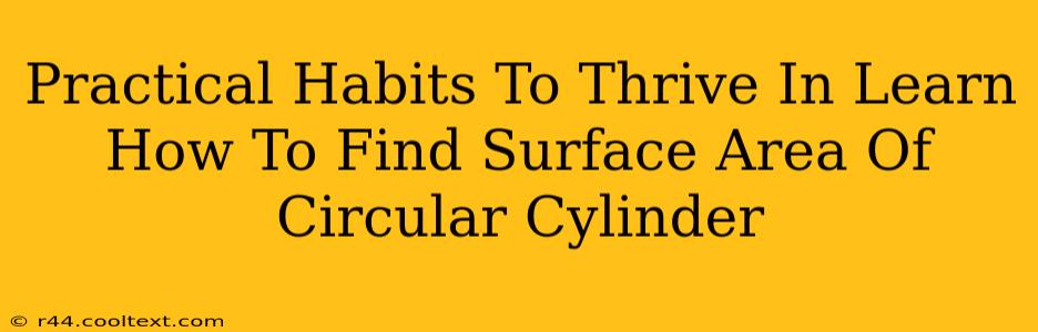 Practical Habits To Thrive In Learn How To Find Surface Area Of Circular Cylinder