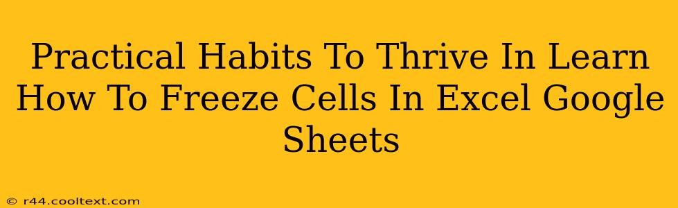 Practical Habits To Thrive In Learn How To Freeze Cells In Excel Google Sheets