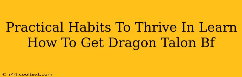 Practical Habits To Thrive In Learn How To Get Dragon Talon Bf