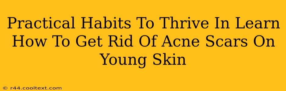 Practical Habits To Thrive In Learn How To Get Rid Of Acne Scars On Young Skin