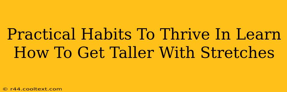 Practical Habits To Thrive In Learn How To Get Taller With Stretches