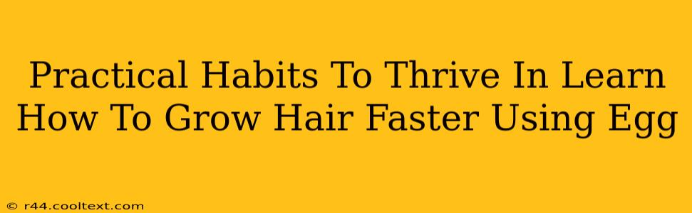 Practical Habits To Thrive In Learn How To Grow Hair Faster Using Egg