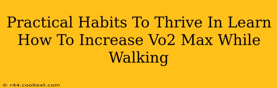 Practical Habits To Thrive In Learn How To Increase Vo2 Max While Walking