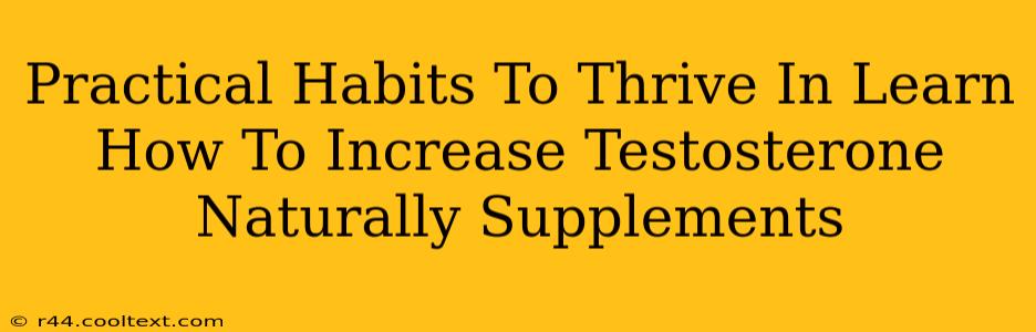 Practical Habits To Thrive In Learn How To Increase Testosterone Naturally Supplements