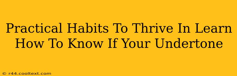 Practical Habits To Thrive In Learn How To Know If Your Undertone