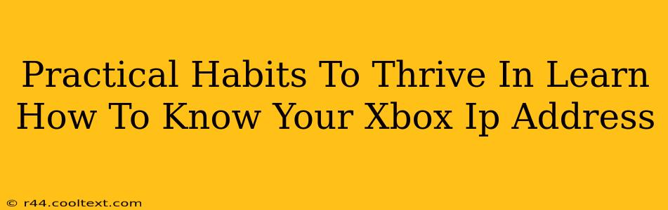 Practical Habits To Thrive In Learn How To Know Your Xbox Ip Address