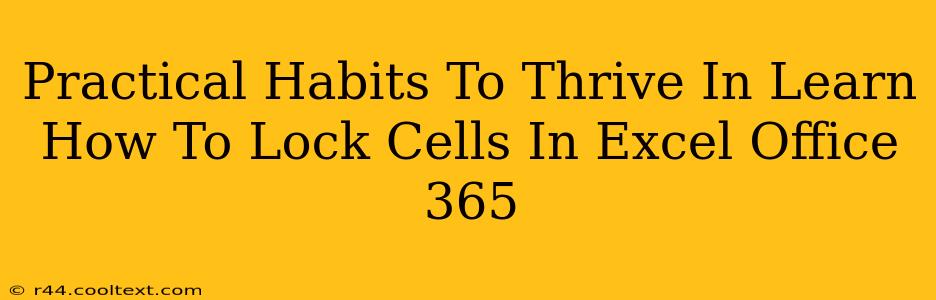 Practical Habits To Thrive In Learn How To Lock Cells In Excel Office 365