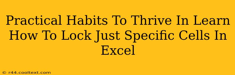 Practical Habits To Thrive In Learn How To Lock Just Specific Cells In Excel