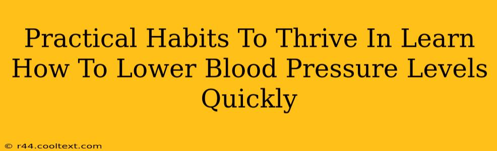 Practical Habits To Thrive In Learn How To Lower Blood Pressure Levels Quickly