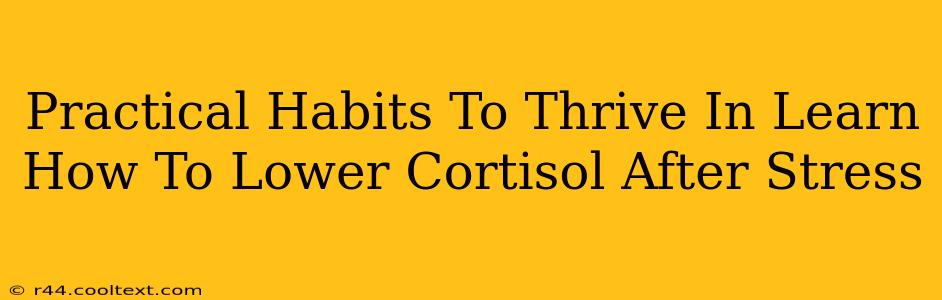 Practical Habits To Thrive In Learn How To Lower Cortisol After Stress