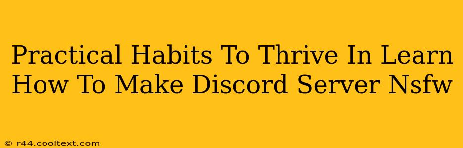 Practical Habits To Thrive In Learn How To Make Discord Server Nsfw