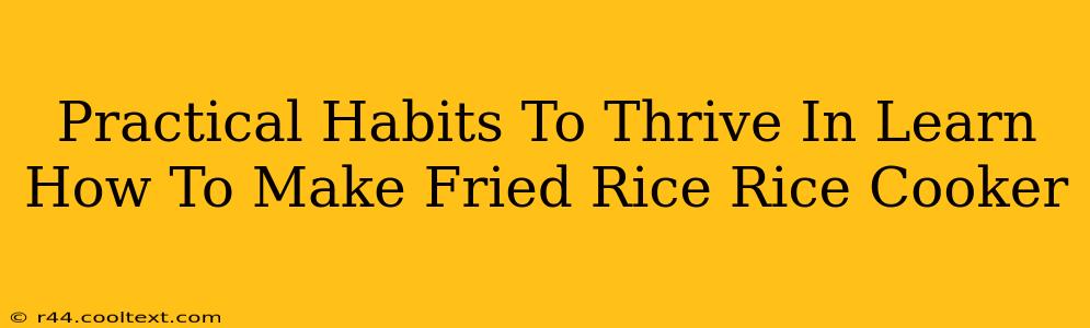 Practical Habits To Thrive In Learn How To Make Fried Rice Rice Cooker