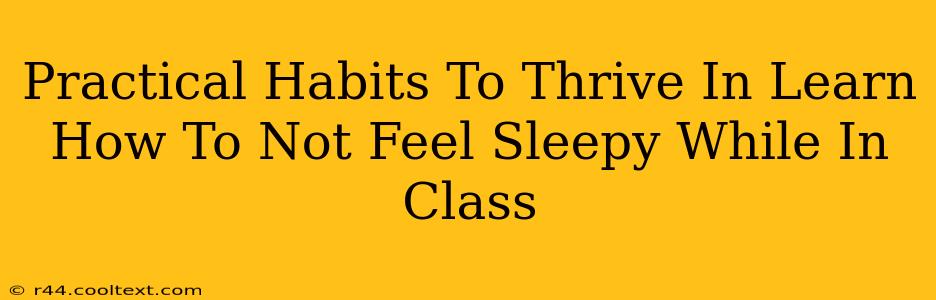 Practical Habits To Thrive In Learn How To Not Feel Sleepy While In Class