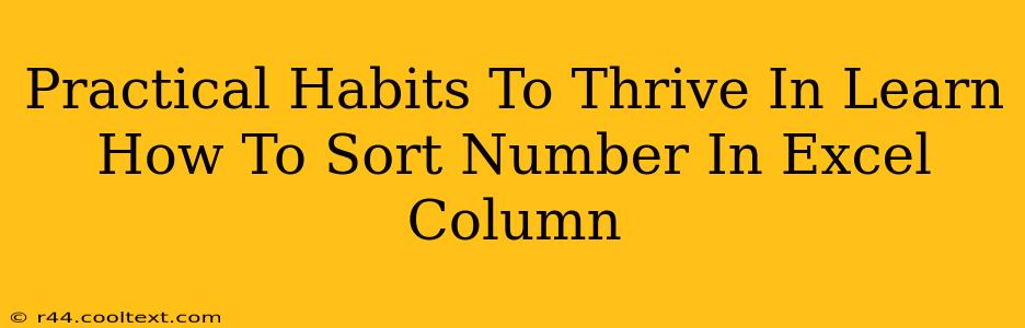 Practical Habits To Thrive In Learn How To Sort Number In Excel Column