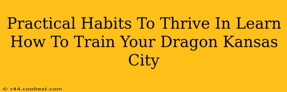 Practical Habits To Thrive In Learn How To Train Your Dragon Kansas City