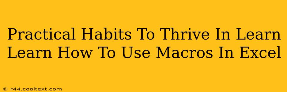 Practical Habits To Thrive In Learn Learn How To Use Macros In Excel