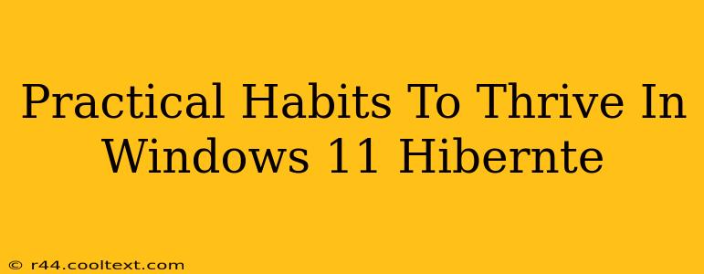 Practical Habits To Thrive In Windows 11 Hibernte