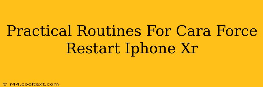 Practical Routines For Cara Force Restart Iphone Xr