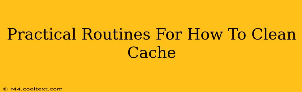 Practical Routines For How To Clean Cache