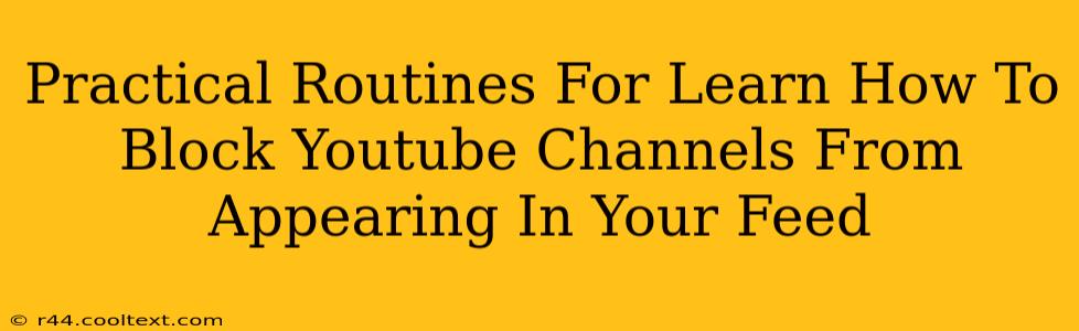 Practical Routines For Learn How To Block Youtube Channels From Appearing In Your Feed