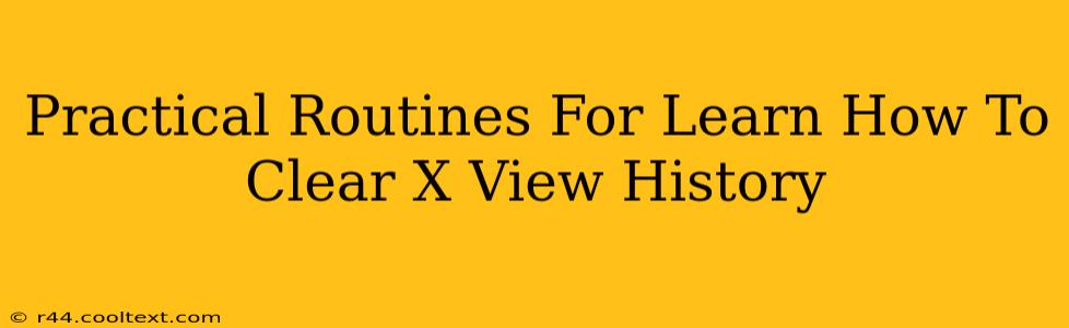 Practical Routines For Learn How To Clear X View History