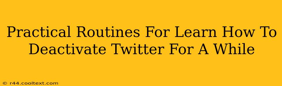 Practical Routines For Learn How To Deactivate Twitter For A While