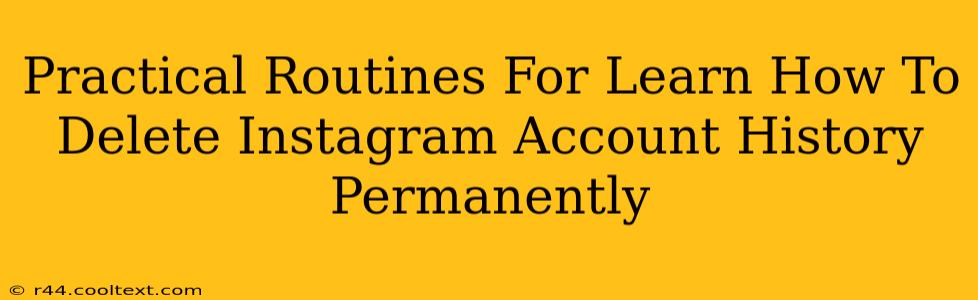 Practical Routines For Learn How To Delete Instagram Account History Permanently