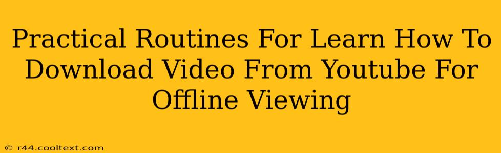 Practical Routines For Learn How To Download Video From Youtube For Offline Viewing