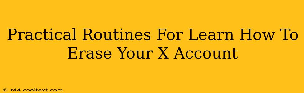 Practical Routines For Learn How To Erase Your X Account