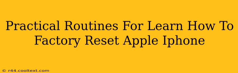 Practical Routines For Learn How To Factory Reset Apple Iphone