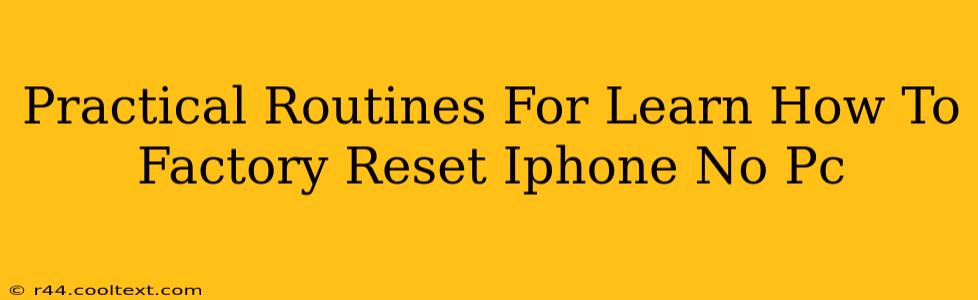 Practical Routines For Learn How To Factory Reset Iphone No Pc