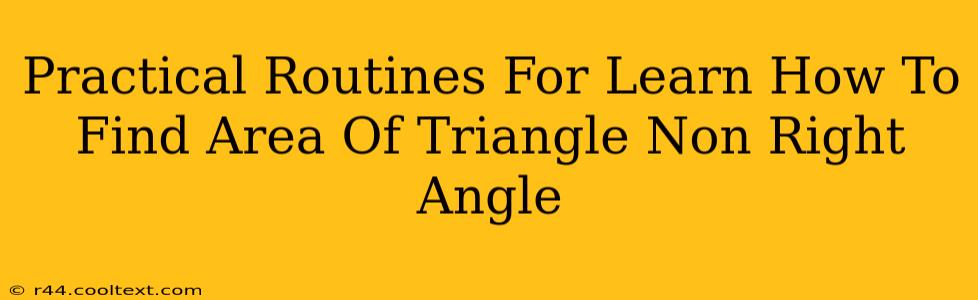 Practical Routines For Learn How To Find Area Of Triangle Non Right Angle