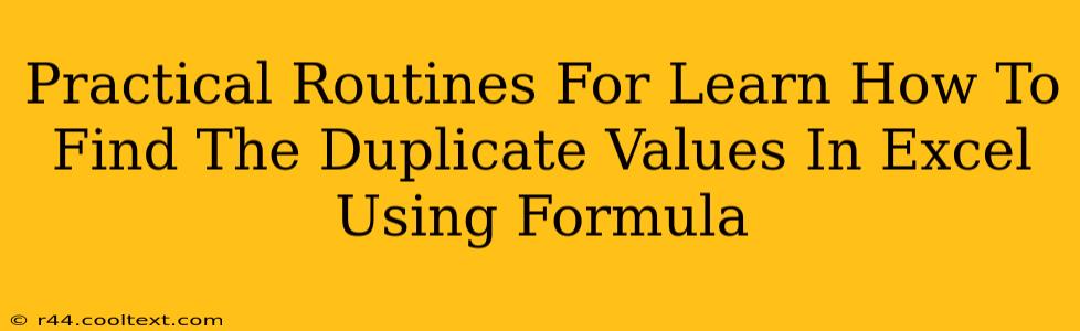 Practical Routines For Learn How To Find The Duplicate Values In Excel Using Formula