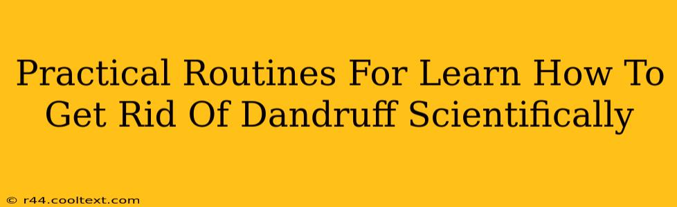 Practical Routines For Learn How To Get Rid Of Dandruff Scientifically