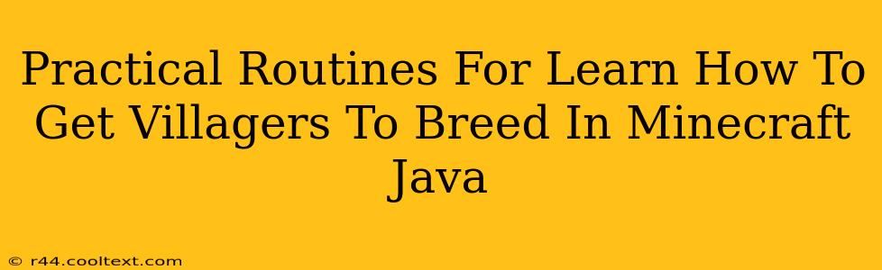 Practical Routines For Learn How To Get Villagers To Breed In Minecraft Java