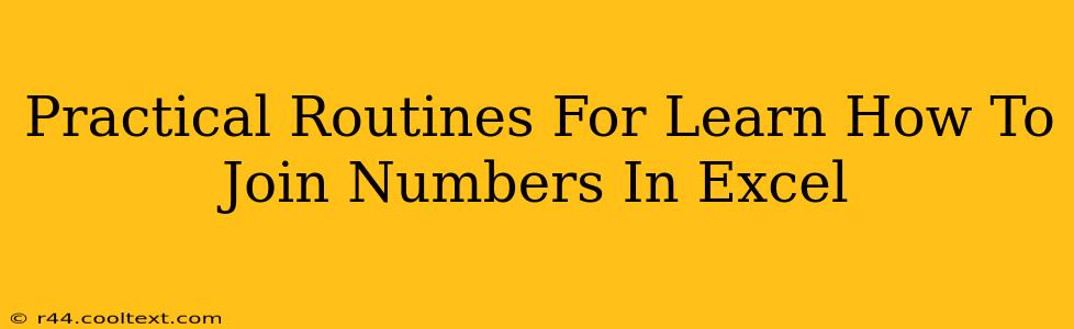 Practical Routines For Learn How To Join Numbers In Excel