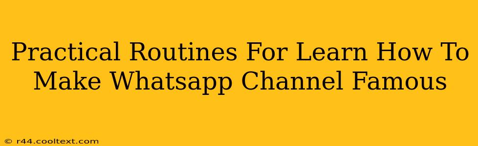 Practical Routines For Learn How To Make Whatsapp Channel Famous