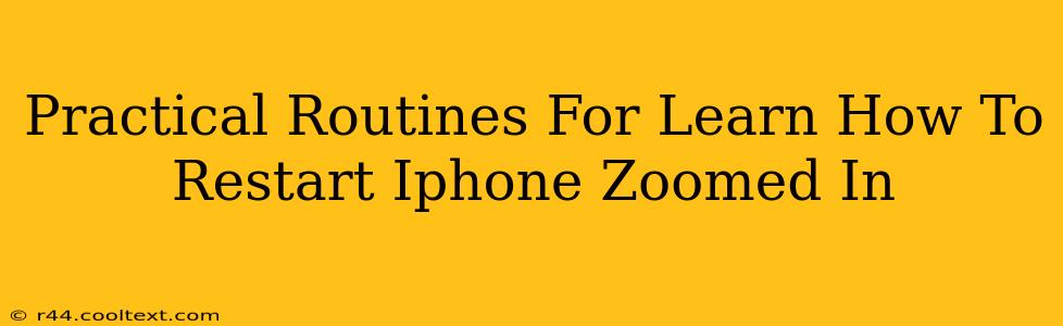 Practical Routines For Learn How To Restart Iphone Zoomed In