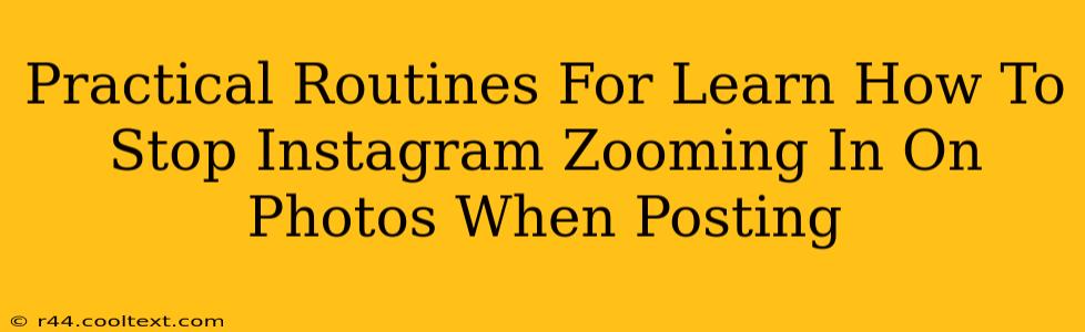 Practical Routines For Learn How To Stop Instagram Zooming In On Photos When Posting